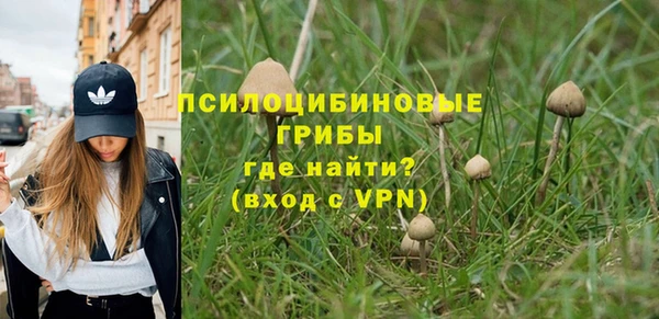 мдма Горняк