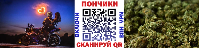 Шишки марихуана OG Kush Мытищи